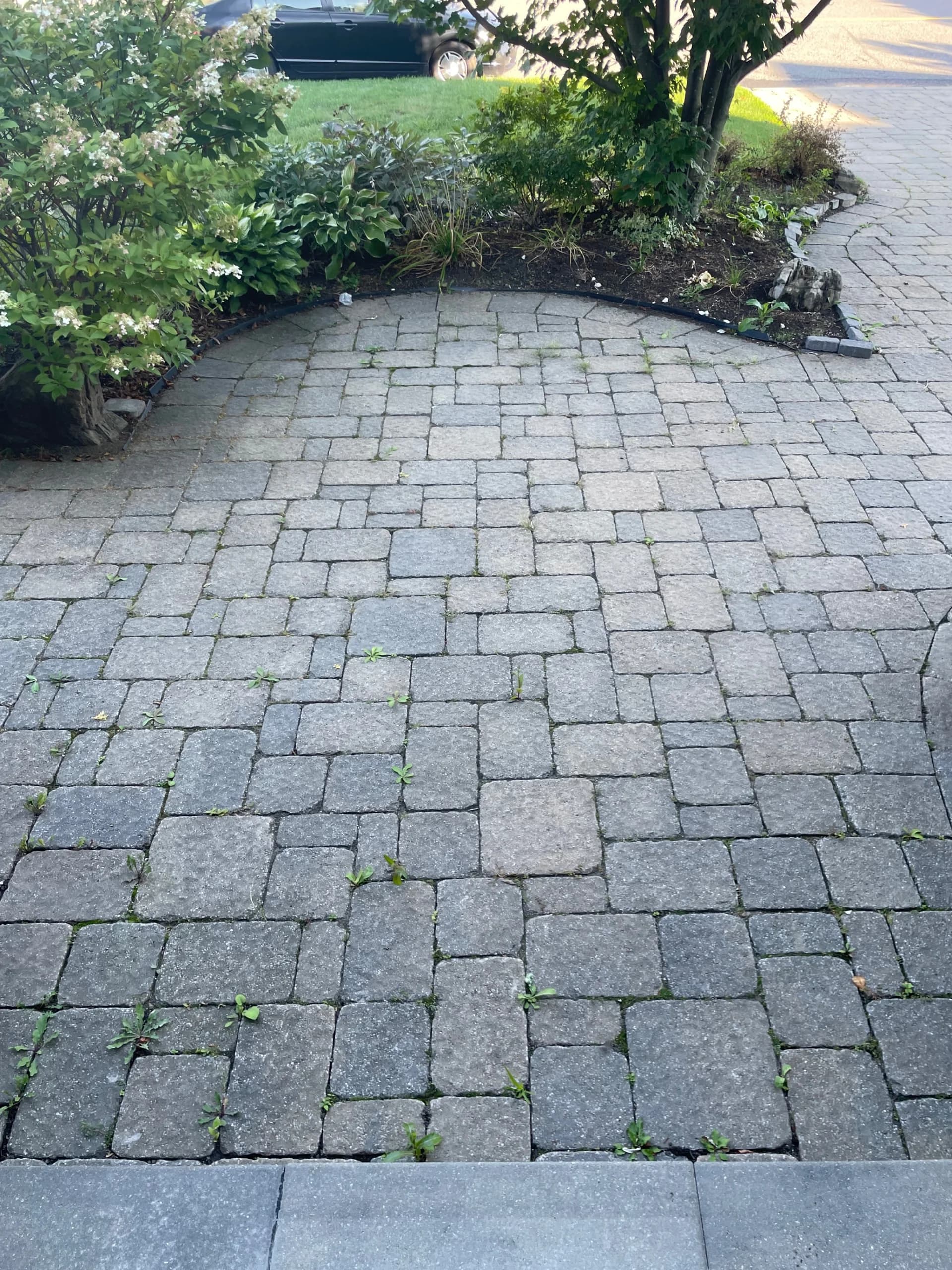 Avant — Projet — restauration complète
